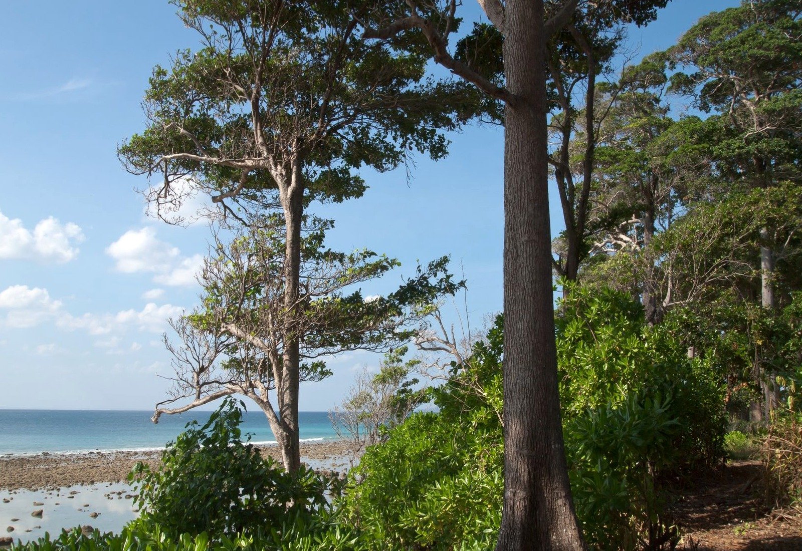 Andaman 5 Nights 6 Days Island Trio