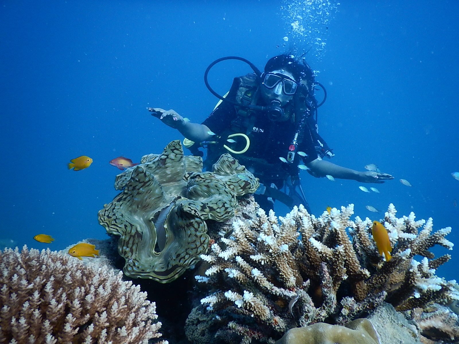 Scuba diving at Havelock in Andaman