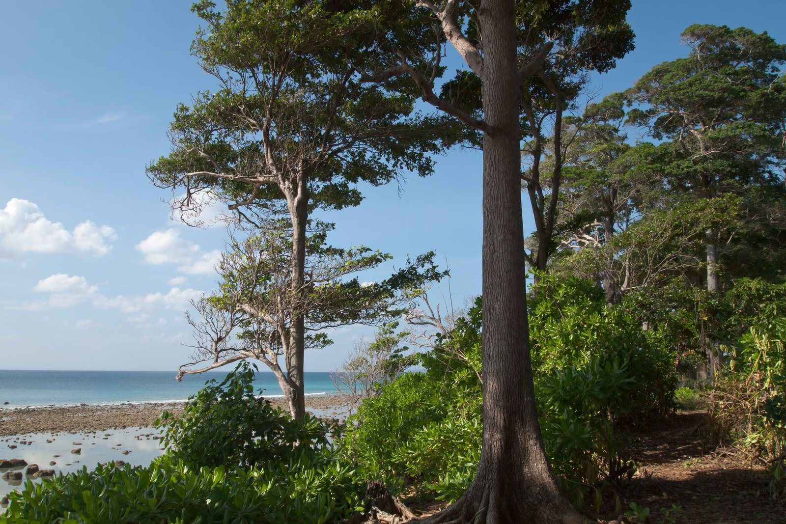 Andaman 5 Nights 6 Days Island Trio